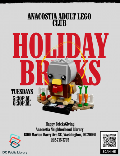 Brick Squad: Anacostia Adult Lego Club